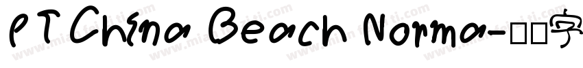 PT China Beach Norma字体转换